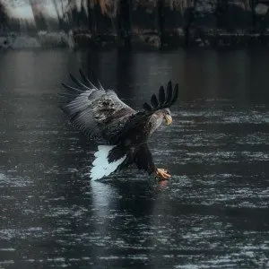 Landausflug in Sortland