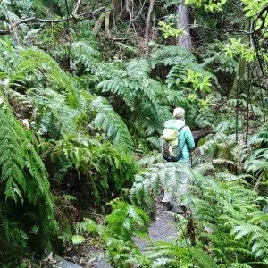Landausflug auf La Palma