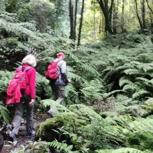 Landausflug auf La Palma