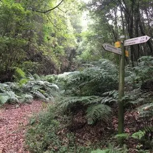 Landausflug auf La Palma