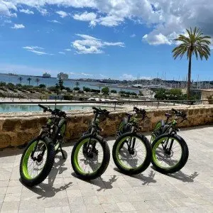 Landausflug auf Mallorca