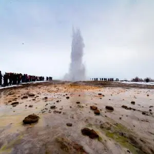 Landausflug in Reykjavik