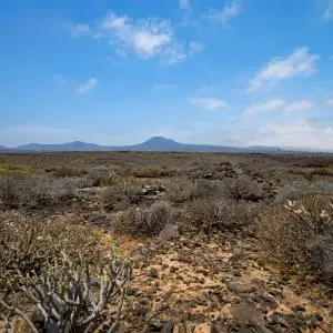 Landausflug auf Lanzarote