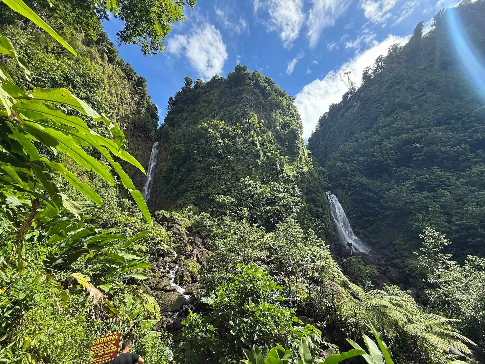 IMG_7986 Die Trafalger Falls auf Dominica