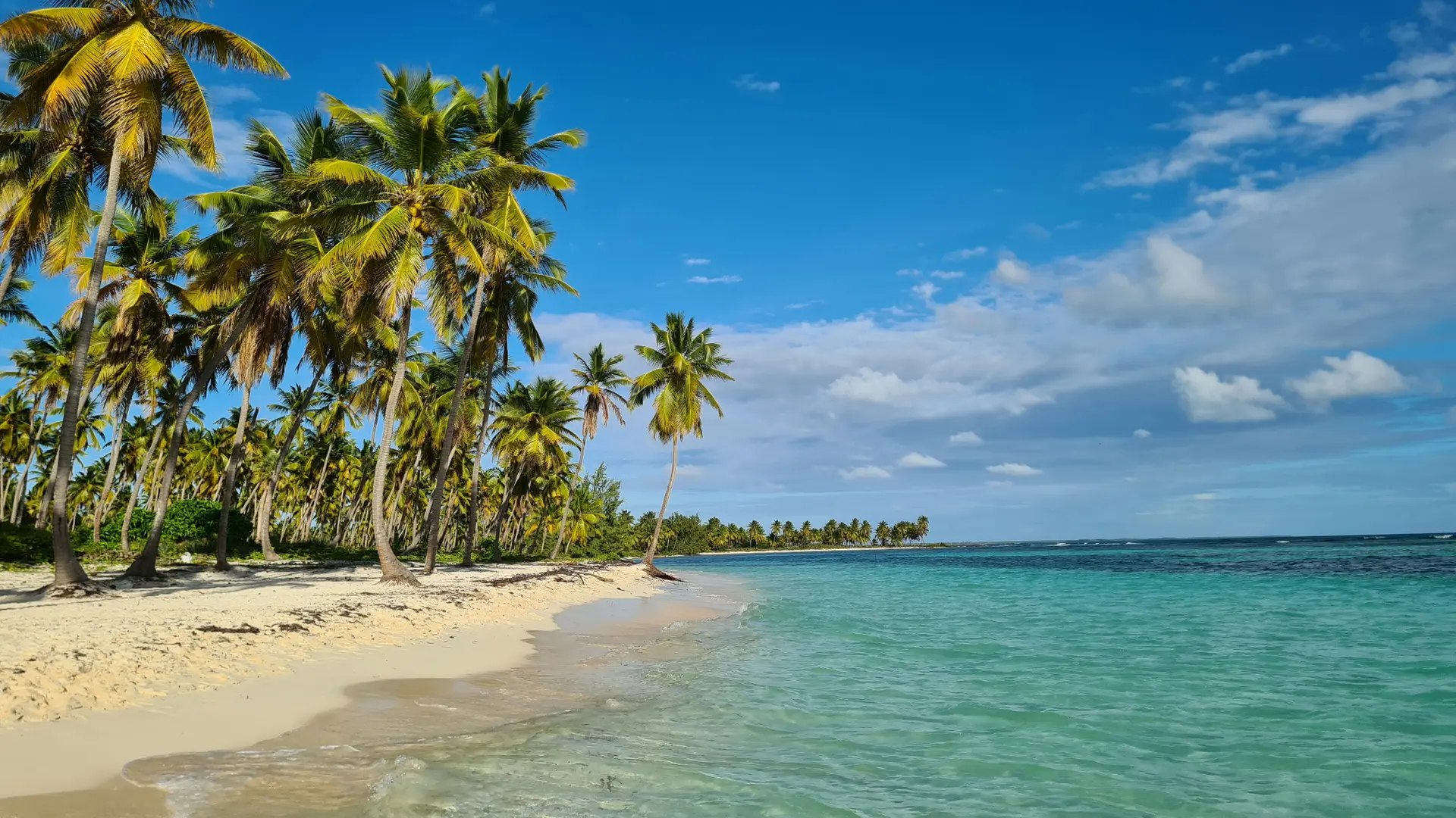 Ein Karibik-Strand im Bild von holger-woizick