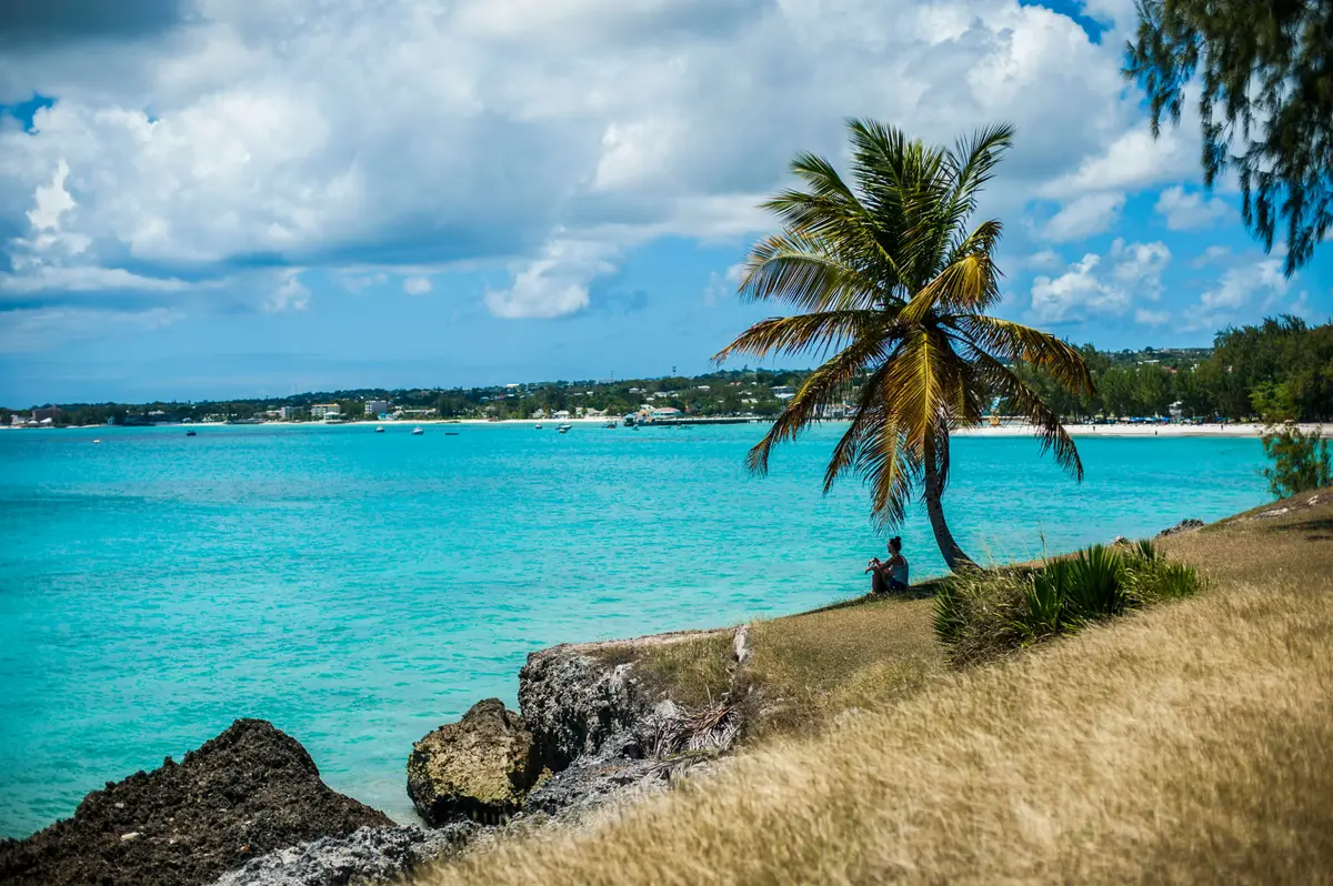 Die Küste von Barbados