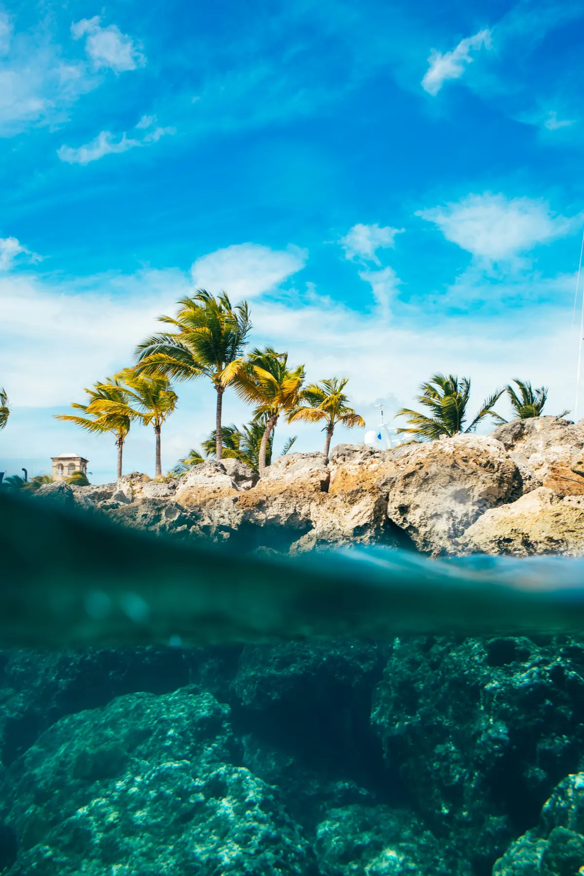 Ein Karibik-Strand im Foto von Levi Arnold auf Unsplash